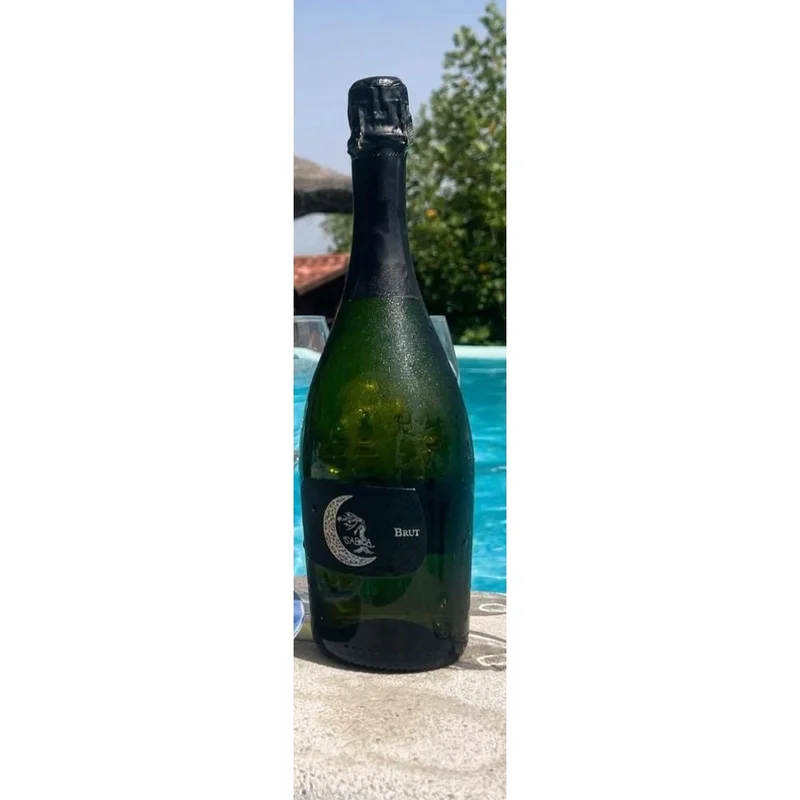 ebevini2026051811483213484