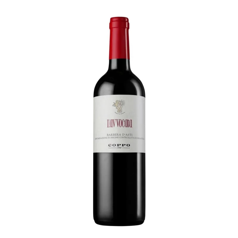 ebevini2026051812010314493