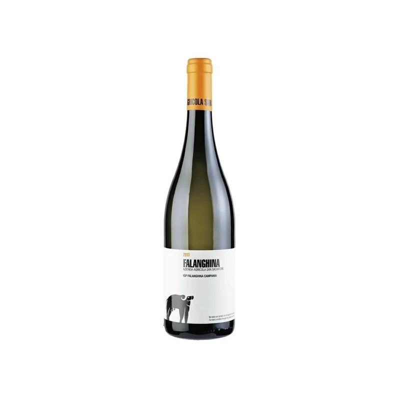 ebevini2026051812431319369