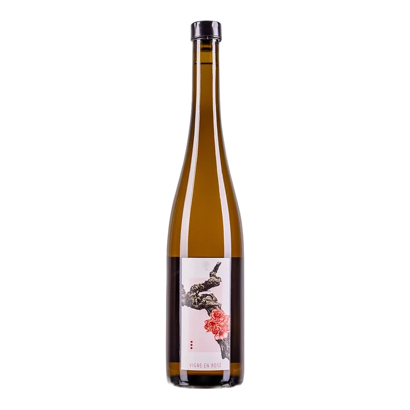 vinodoo2026051811404712755