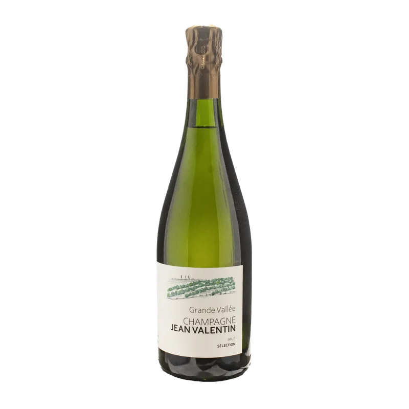 vinodoo2026051811411512815