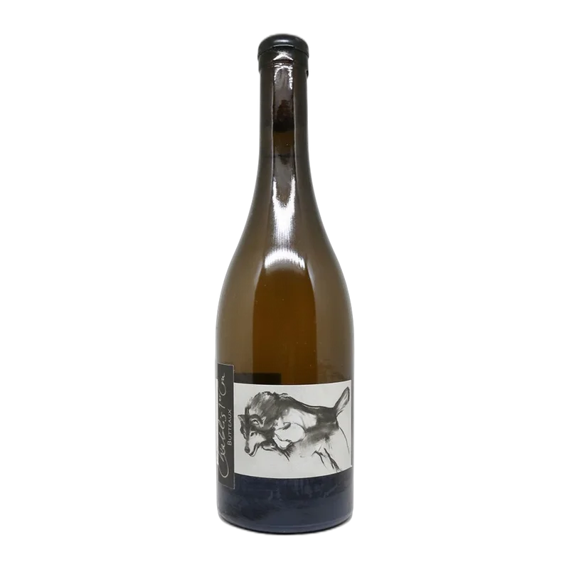 vinodoo2026051814223028866