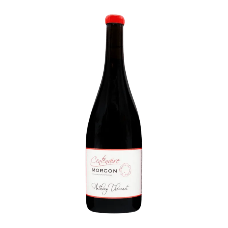 vinodoo2026051814233728931