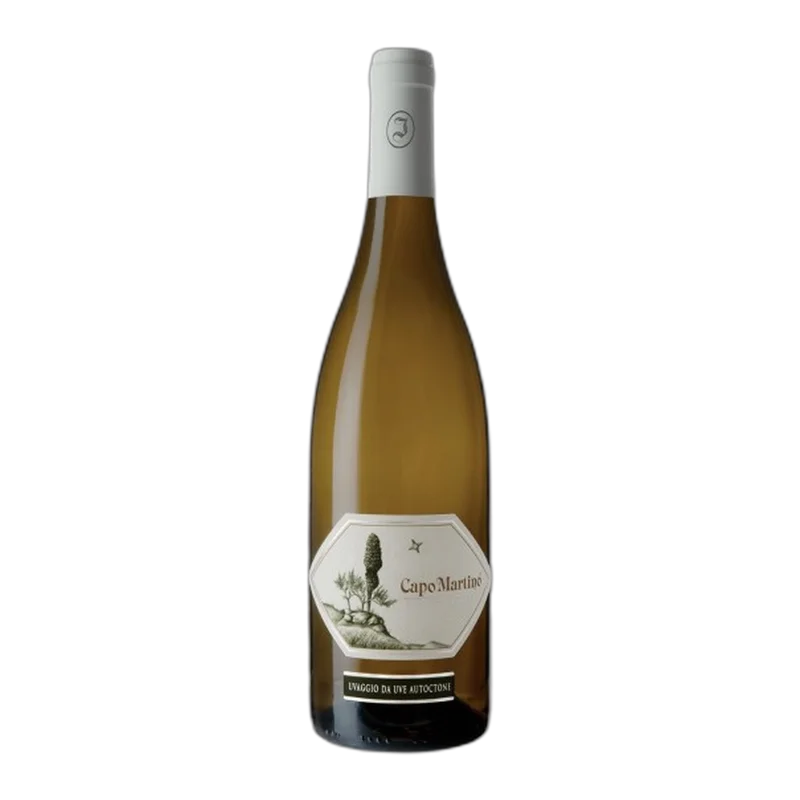 vinodoo2026051815352032783